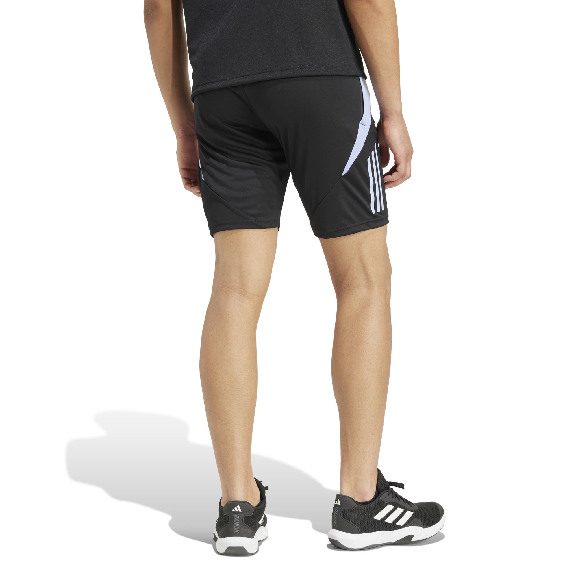 All Blacks 2024/25 adidas Gym Short - Black