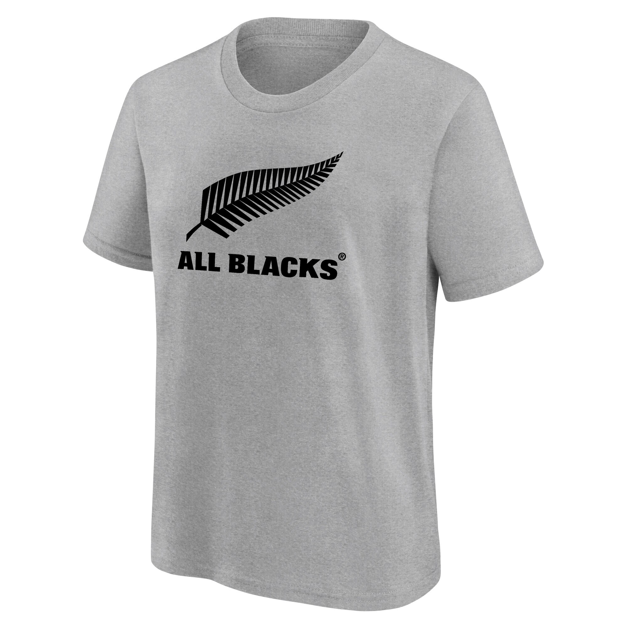 All Blacks Primary Logo Graphic T-Shirt - Sports Grey - Youth